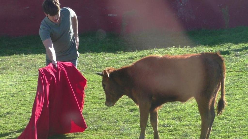 Herradero en la finca de Pedrés