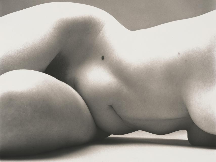 Irving Penn: 'Nude No.72, New York', 1949–50. Foto: ©The Irving Penn Foundation