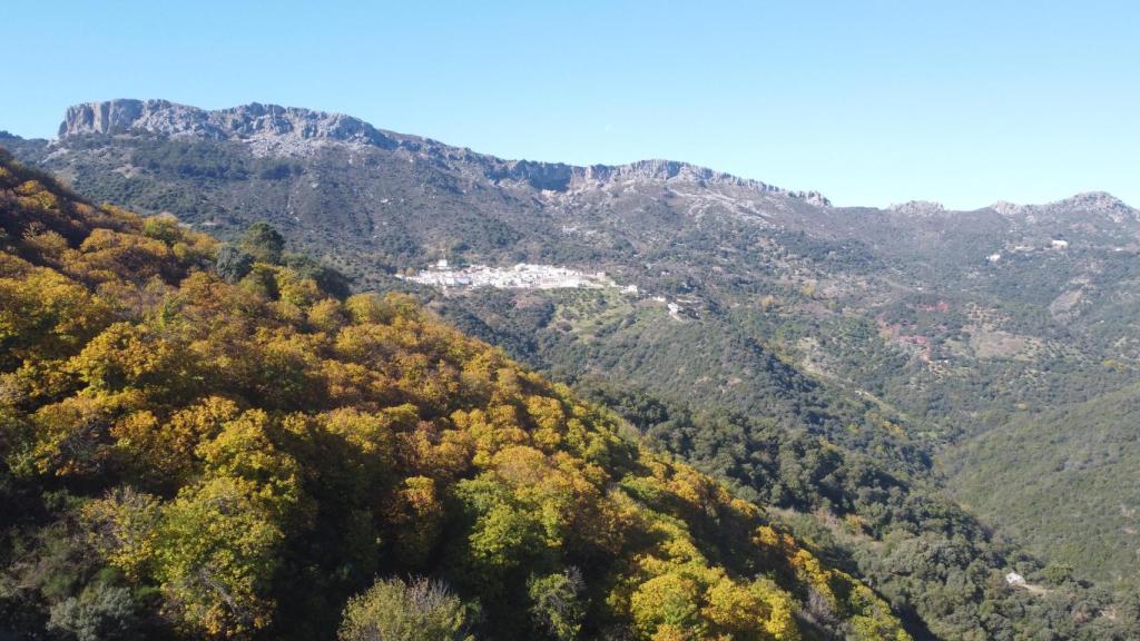 Paisaje de Los Castañares, en Benadalid.