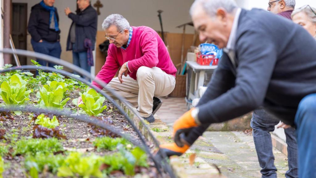 Taller de jardinería y horticultura en el convento de Santa Clara.