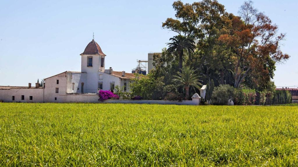 Alqueria el Machistre. Turisme GVA