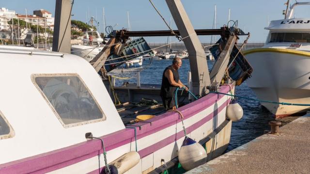 Un pescador en el puerto de Palamós (Girona).