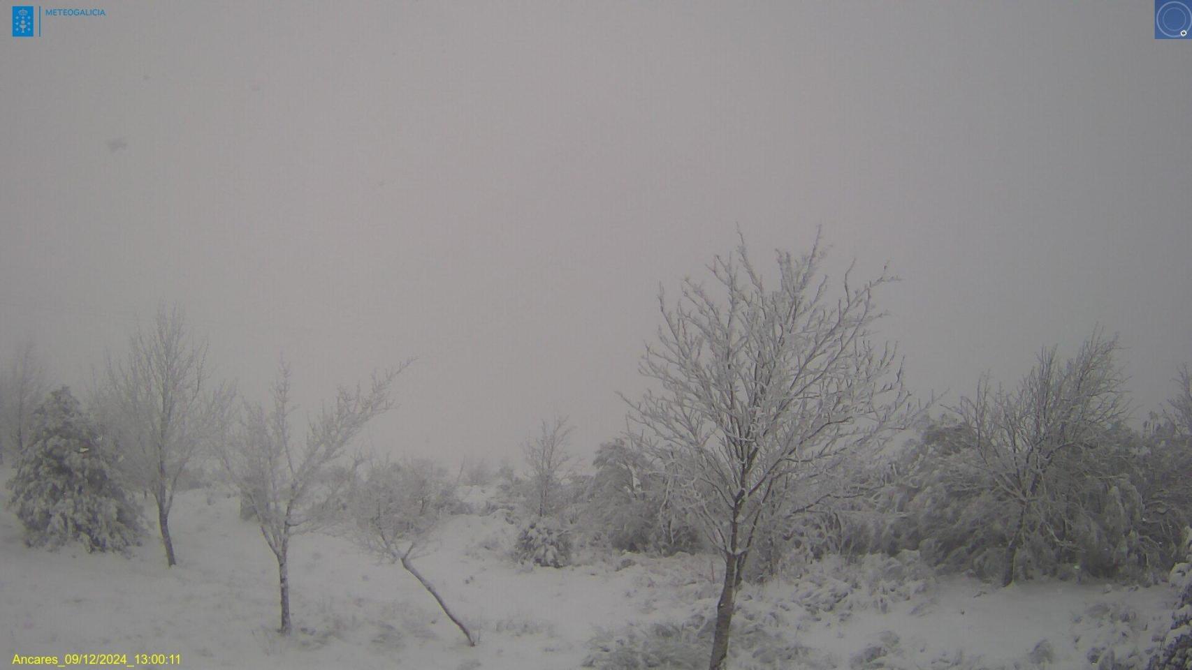 Paisaje nevado en Os Ancares