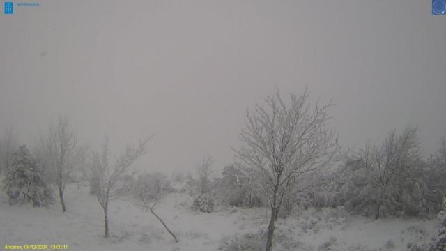 Paisaje nevado en Os Ancares