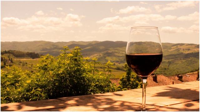 Copa de vino tinto en un viñedo