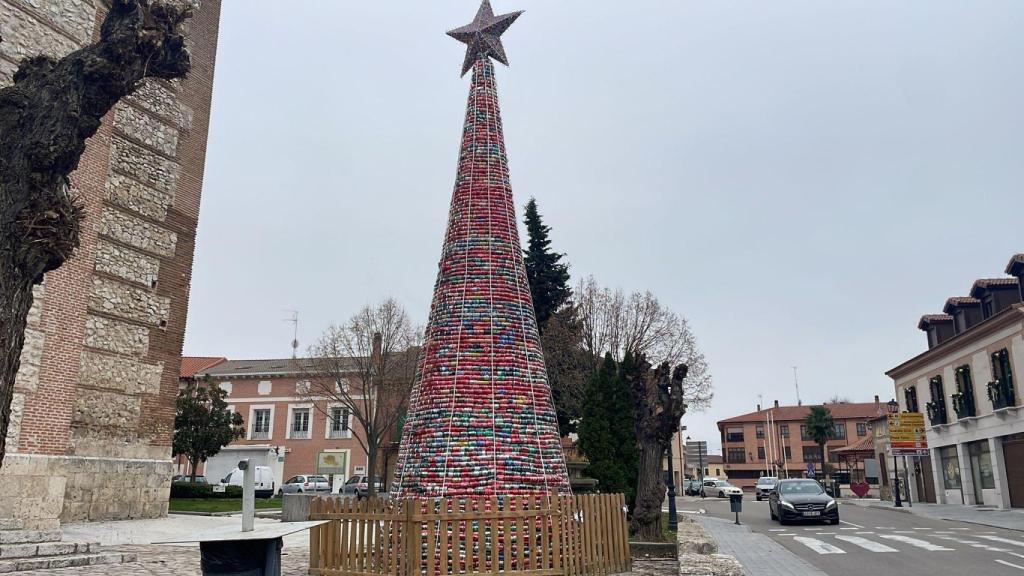 Imagen del imponente árbol de Mojados