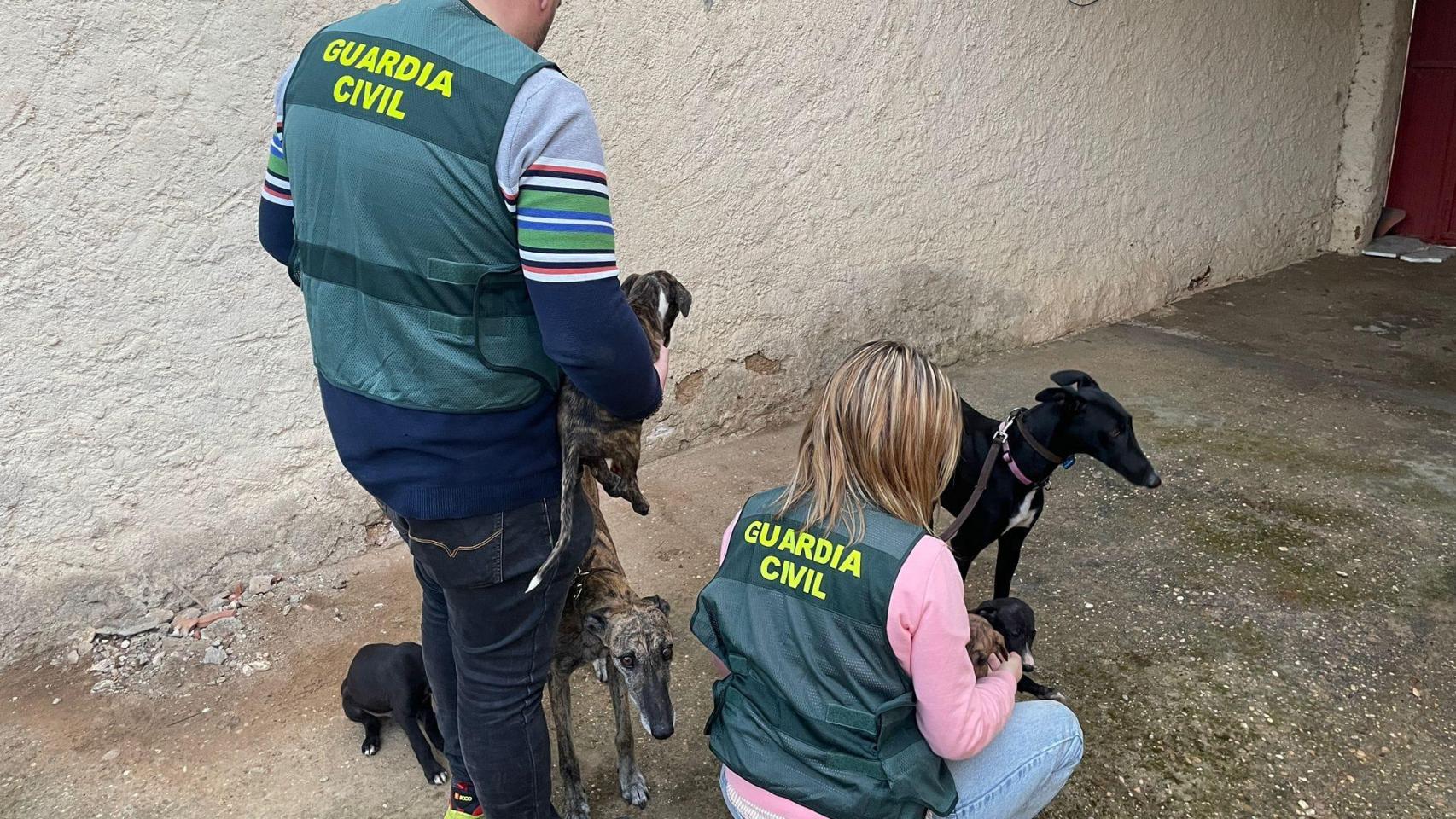 La Guardia Civil de Zamora durante la investigación