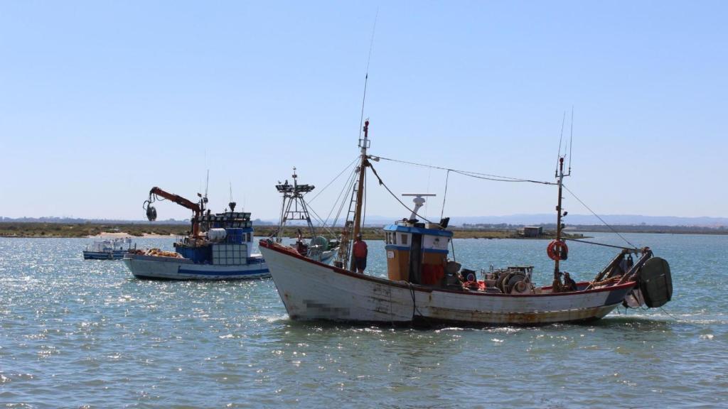 Barcos de pesca de arrastre de Andalucía.