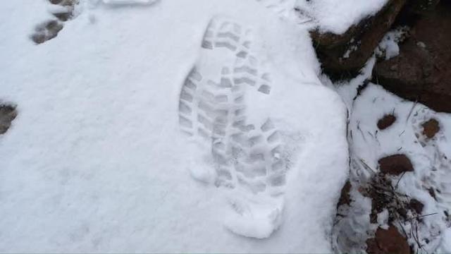 Imágenes de la nevada caída en Los Reales, en Sierra Bermeja