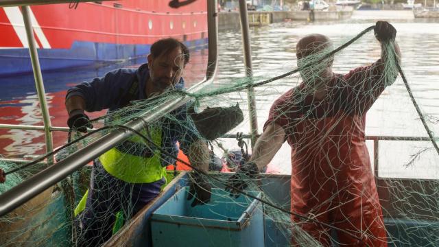 Pescadores descargan el pescado y el marisco capturado en la jornada de pesca.