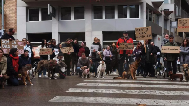 130 personas se manifestaron hace unos días en Bañolas por la desaparición de uno de los border collie.