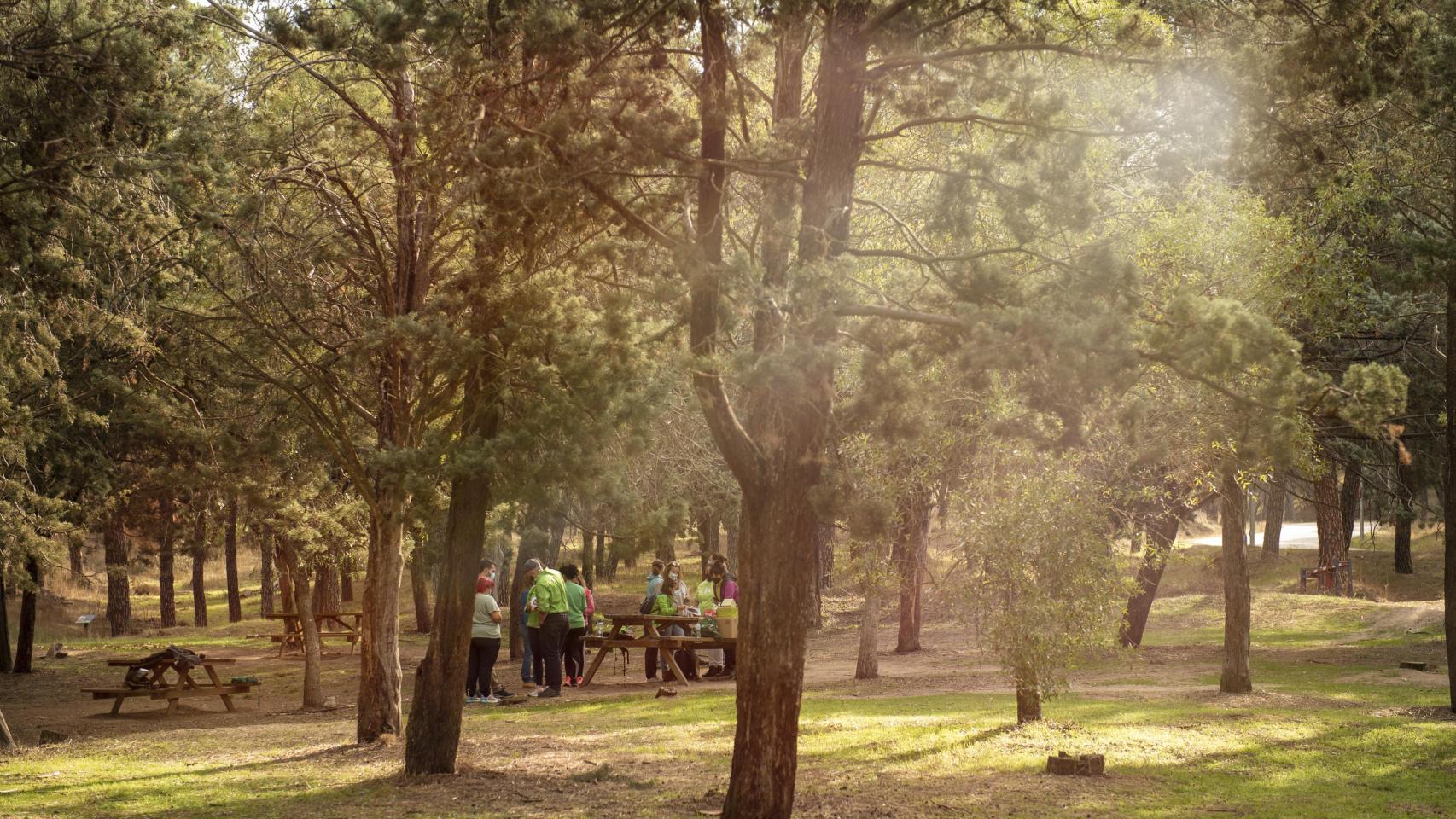 Equipo de Leroy Merlin en un bosque.