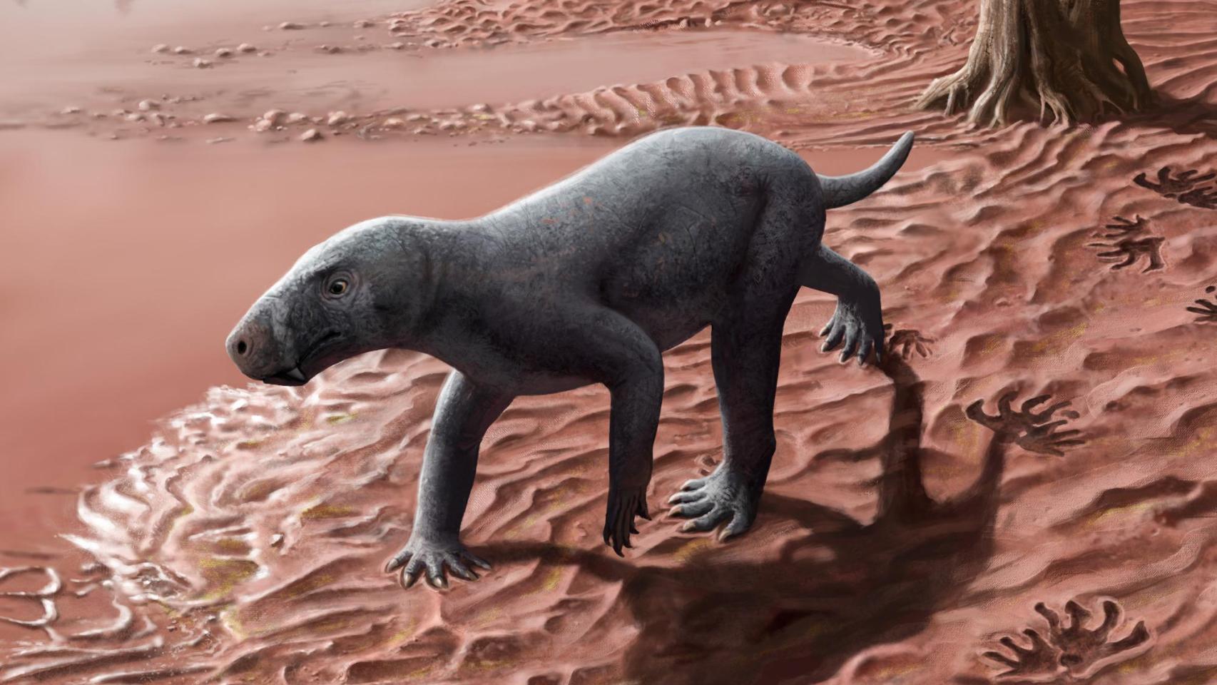 Reconstrucción del ancestro gorgonopsio de los mamíferos hallado en Mallorca. © Henry Sutherland Sharpe