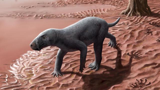 Reconstrucción del ancestro gorgonopsio de los mamíferos hallado en Mallorca.  © Henry Sutherland Sharpe