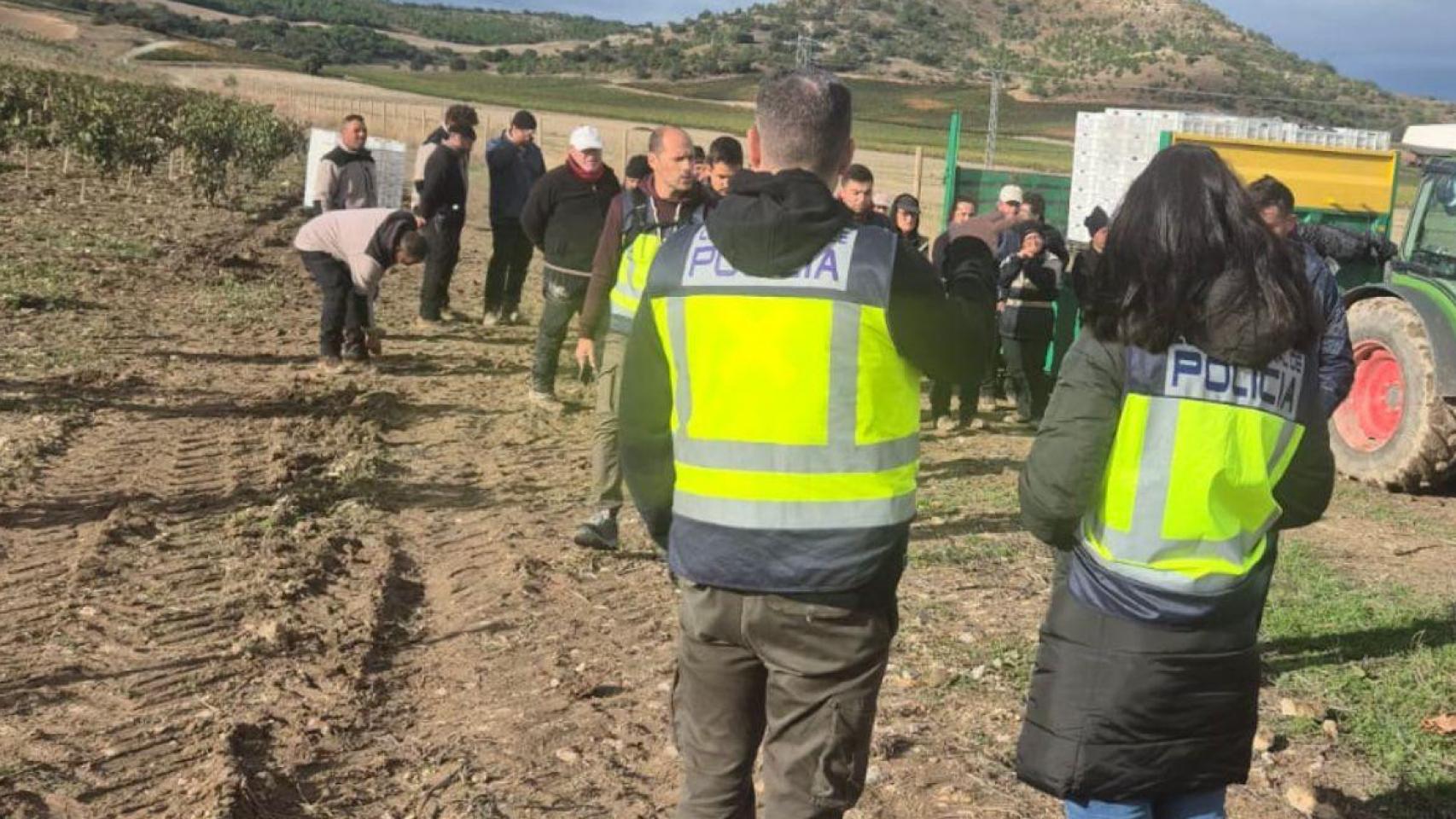 La Policía Nacional de Valladolid trabajando en la Operación Pampinoplas
