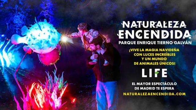 Naturaleza Encendida LIFE Madrid: El Éxito que Ilumina el Corazón de la Ciudad