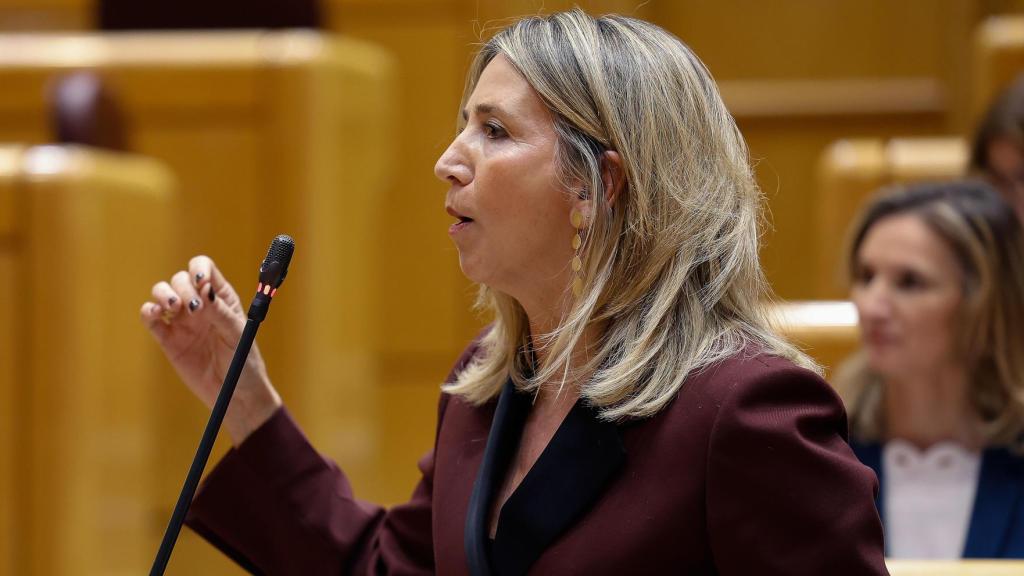 La portavoz del PP en el Senado, Alicia García, este martes durante la sesión de control al Gobierno.