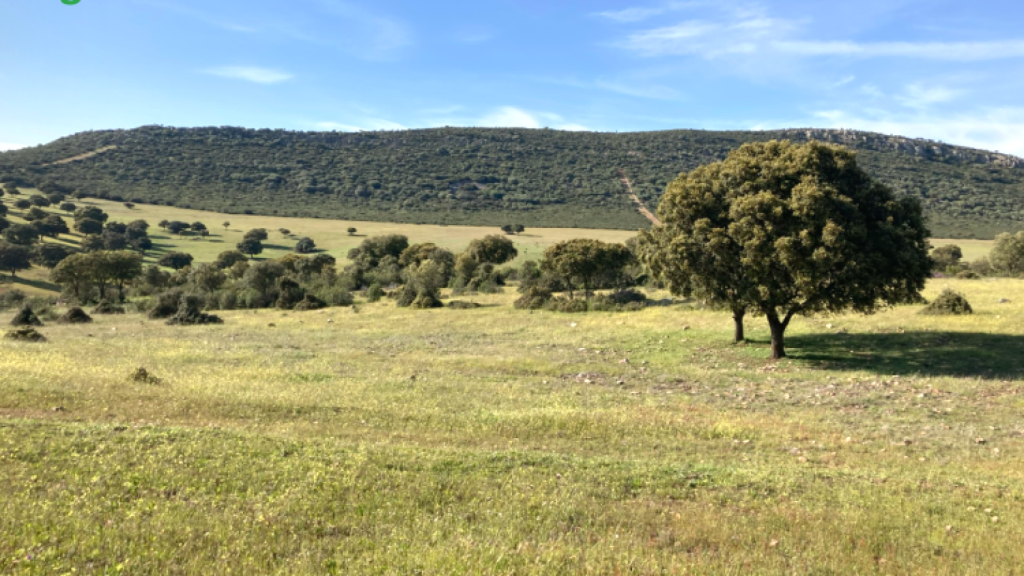 Imagen de la finca en venta. Foto: AgroAnuncios