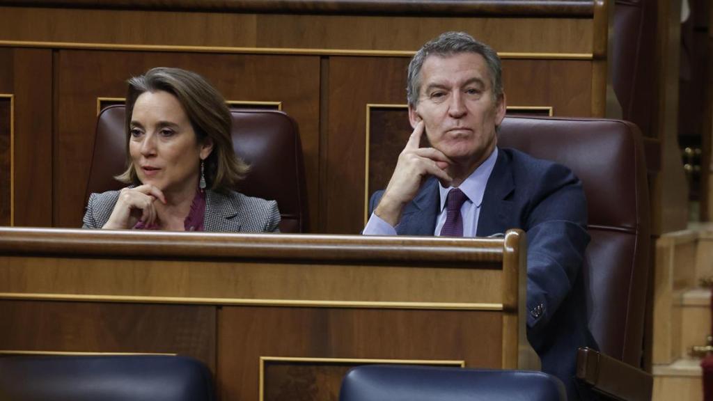 La secretaria general del PP, Cuca Gamarra, y el presidente del partido, Alberto Núñez Feijóo, este jueves en el Congreso.