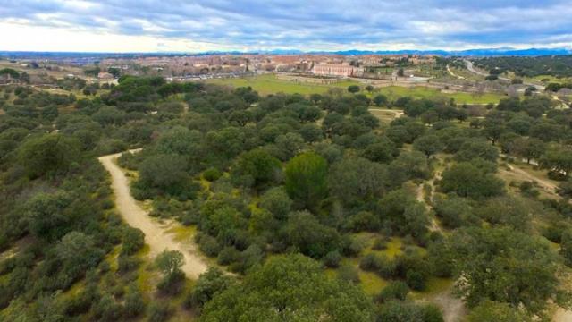 Una de las zonas verdes de Boadilla del Monte.