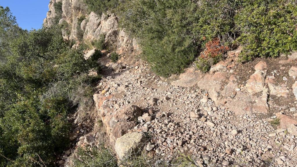 Otra vista del sendero donde se produjo el fatal incidente.