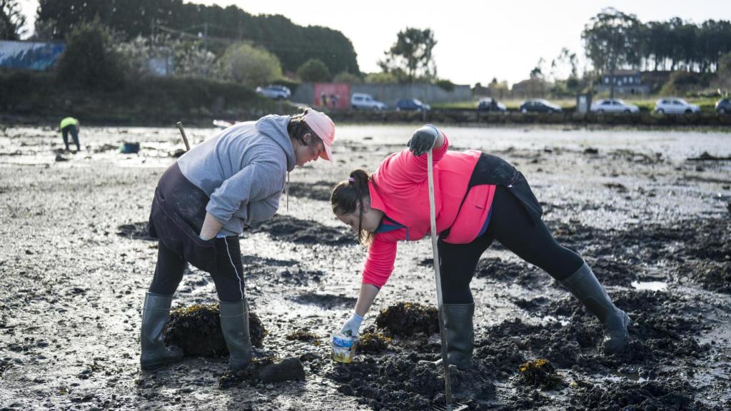 Madre e hija trabajando juntas en el marisqueo a pie.