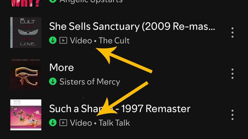 The video tag in Spotify indicating the possibility of playing it