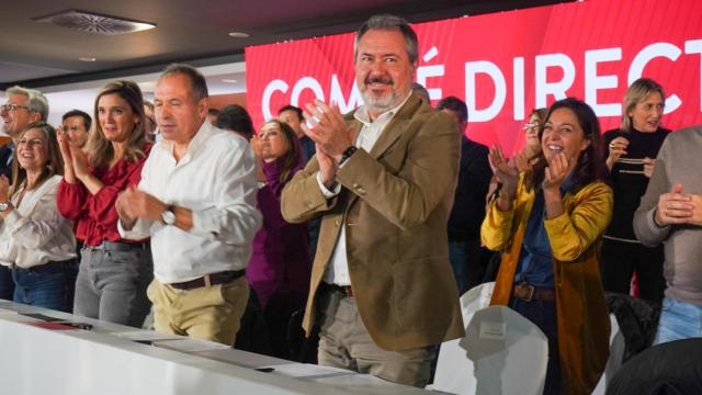 Juan Espadas, durante el Comité Director del PSOE andaluz.