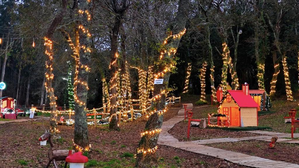 Bosque de Nadal de Noalla