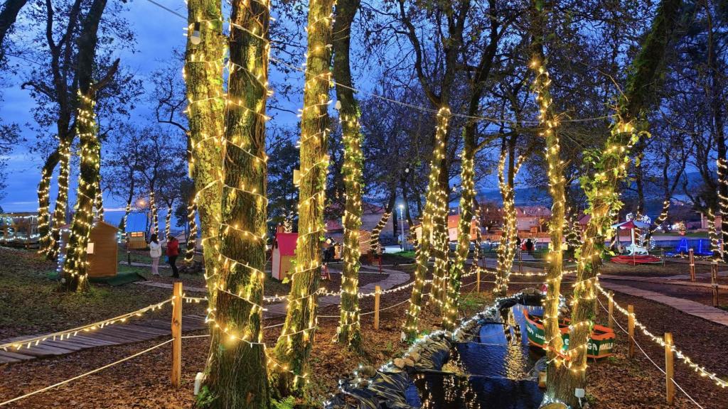 Bosque de Nadal de Noalla