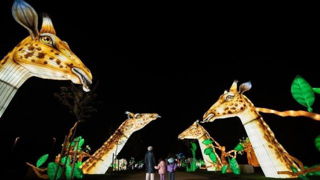 El parque Juan Carlos I decorado con el Brilla Madrid Zoo.