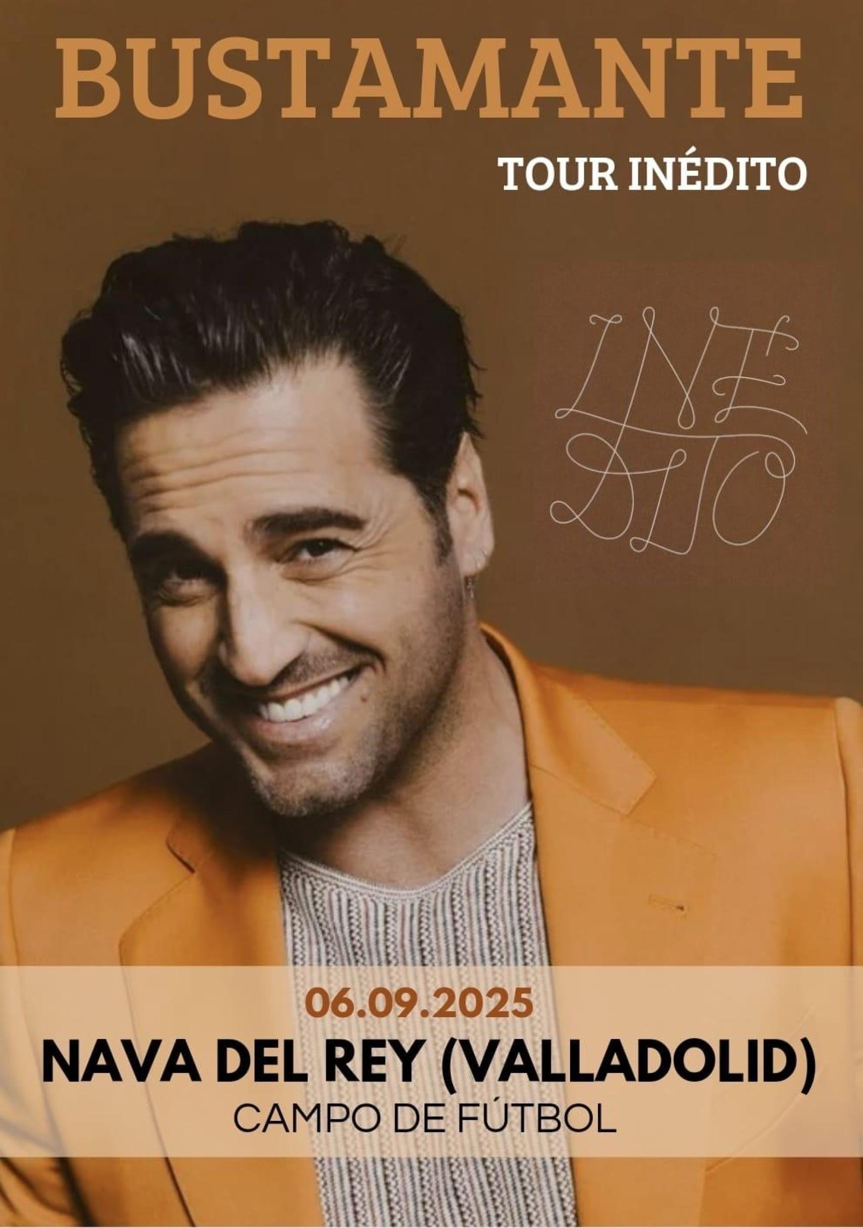 Cartel del concierto de David Bustamante en Nava del Rey (Valladolid)