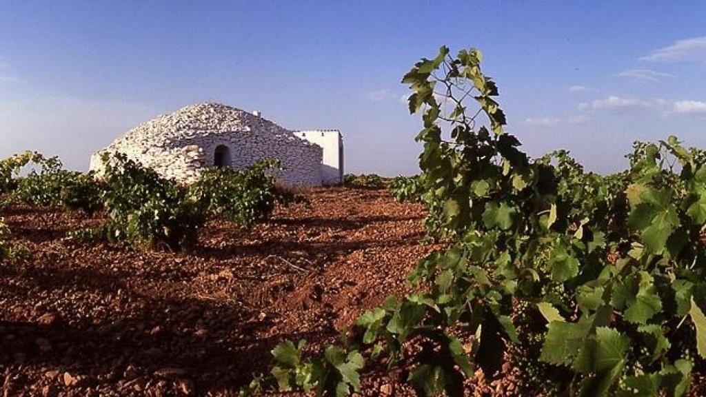 Enoturismo y cuevas, dos opciones para hacer turismo en Tomelloso