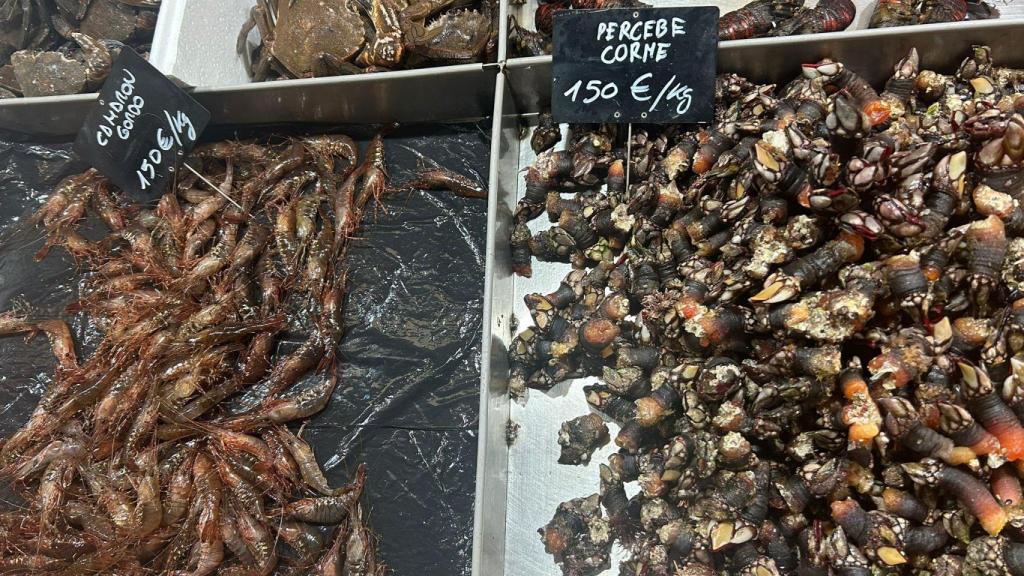 Percebes en la plaza de Lugo de A Coruña.