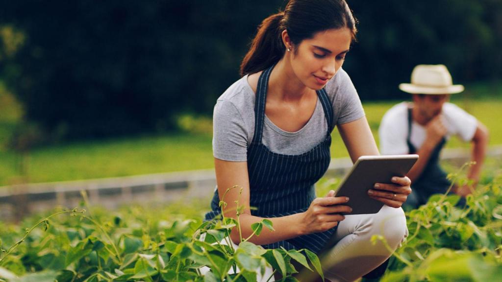 La innovación sostenible es una de las tendencias del ecosistema tecnológico en la actualidad.