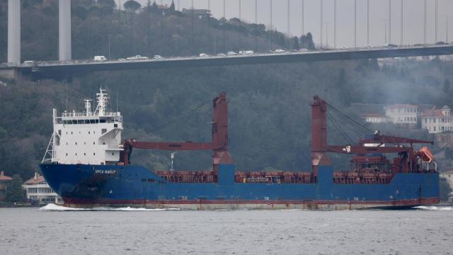 El carguero ruso Ursa Major transita por el Bósforo en Estambul, Turquía.