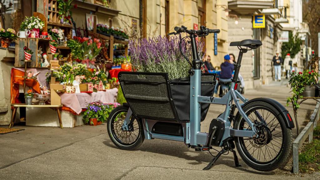 Bicicleta Car.Los Model V1.