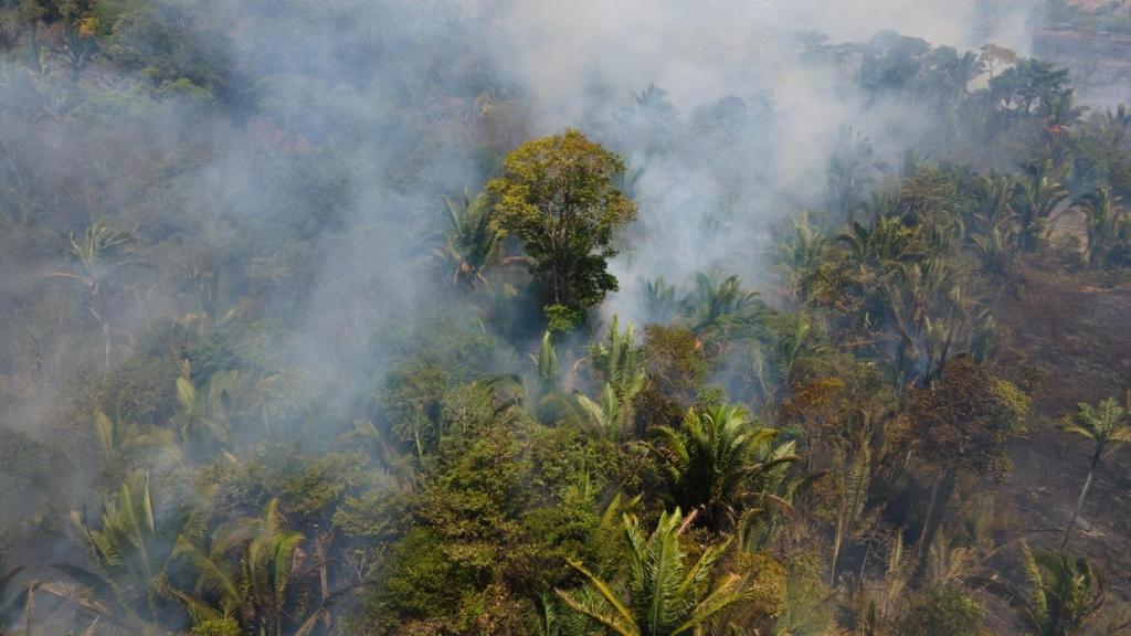 Incendio en la selva de Porto Velho, Brazil: