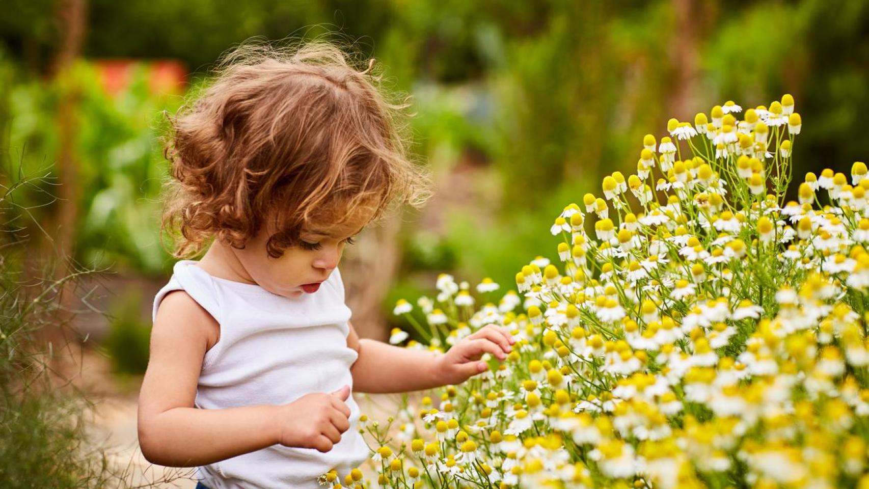 Una niña en la naturaleza.