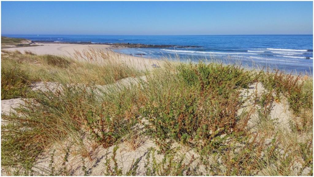 Playa de Arda, Afife