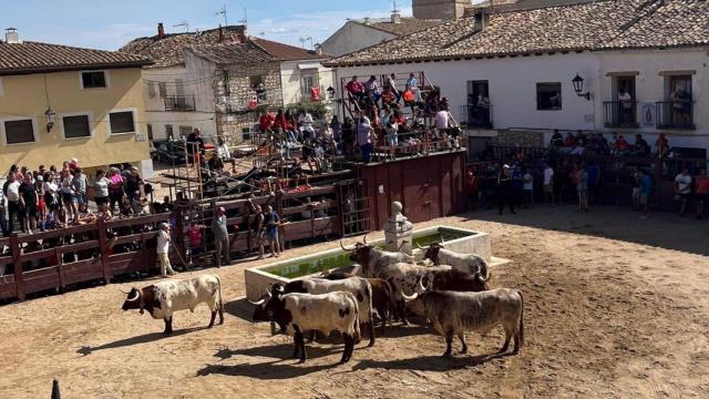 Espectáculo taurino en Fuentelencina.