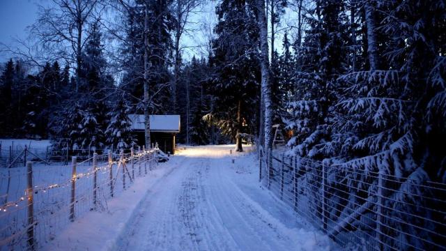 Invierno en Estados Unidos