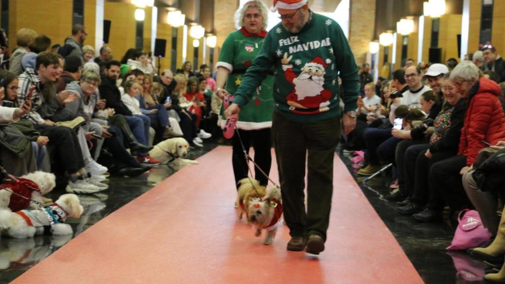 El desfile de mascotas, en el Auditorio de Zaragoza.