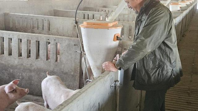 Gerardo Sánchez, concejal de Agricultura, Ganadería, Medio Rural e Identidad Comarcal y Talavera Ferial.