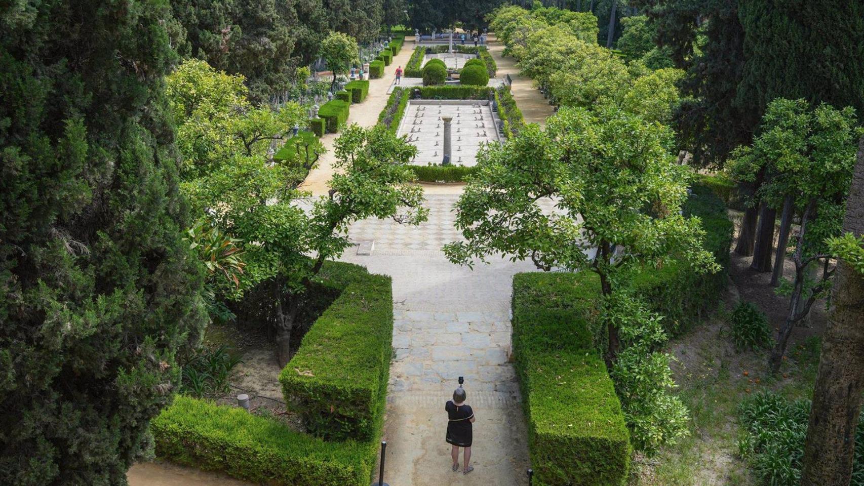 Vista aérea de los jardines del Real Alcázar.