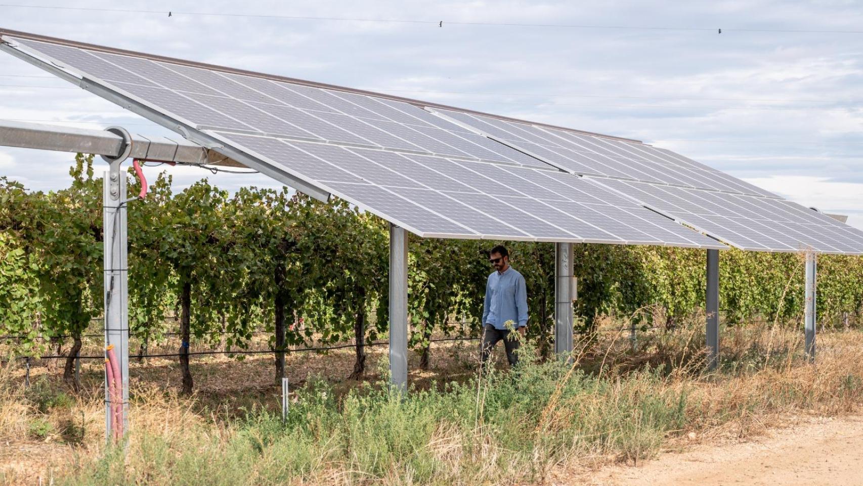 Foto: Iberdrola.