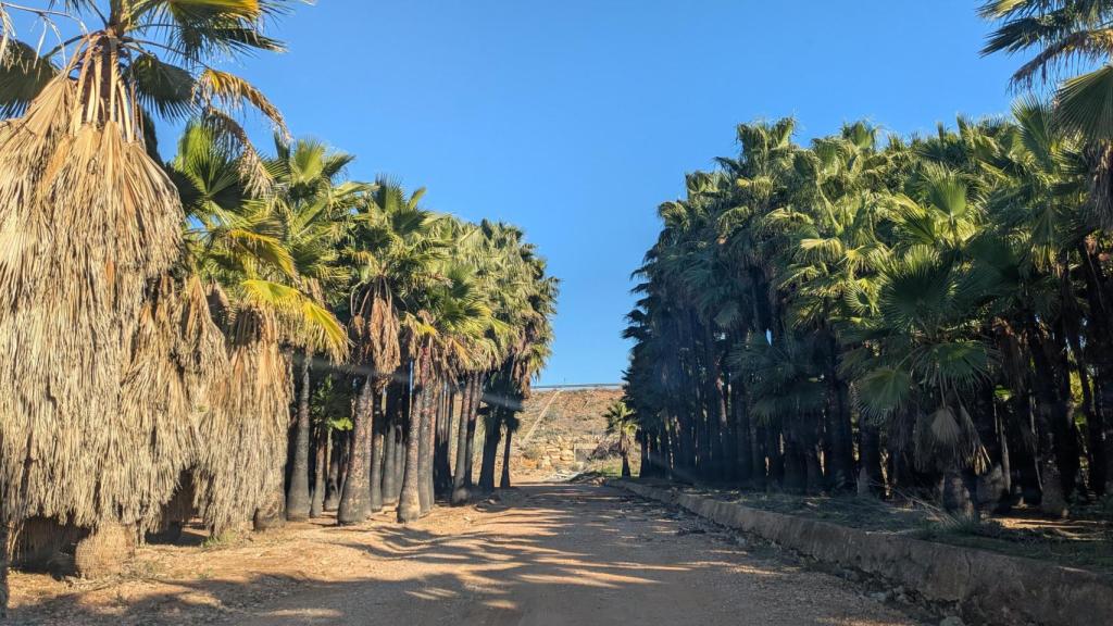 Camino hacia la zona de búsqueda.