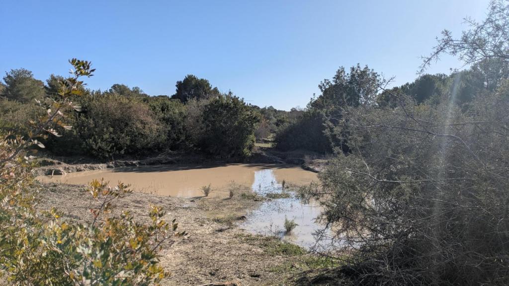 Otra zona de búsqueda.