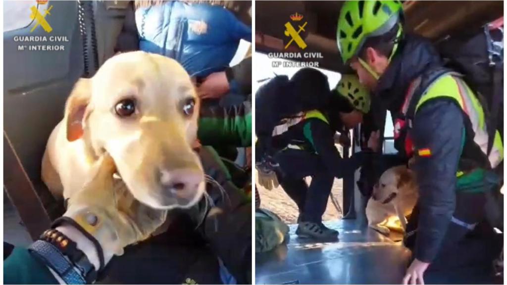 Imágenes del perro rescatado junto a su dueño en el Pirineo aragonés