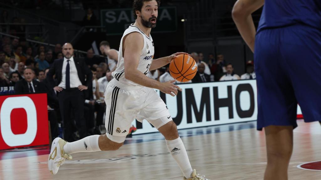 Sergio Llull, con el Real Madrid de baloncesto